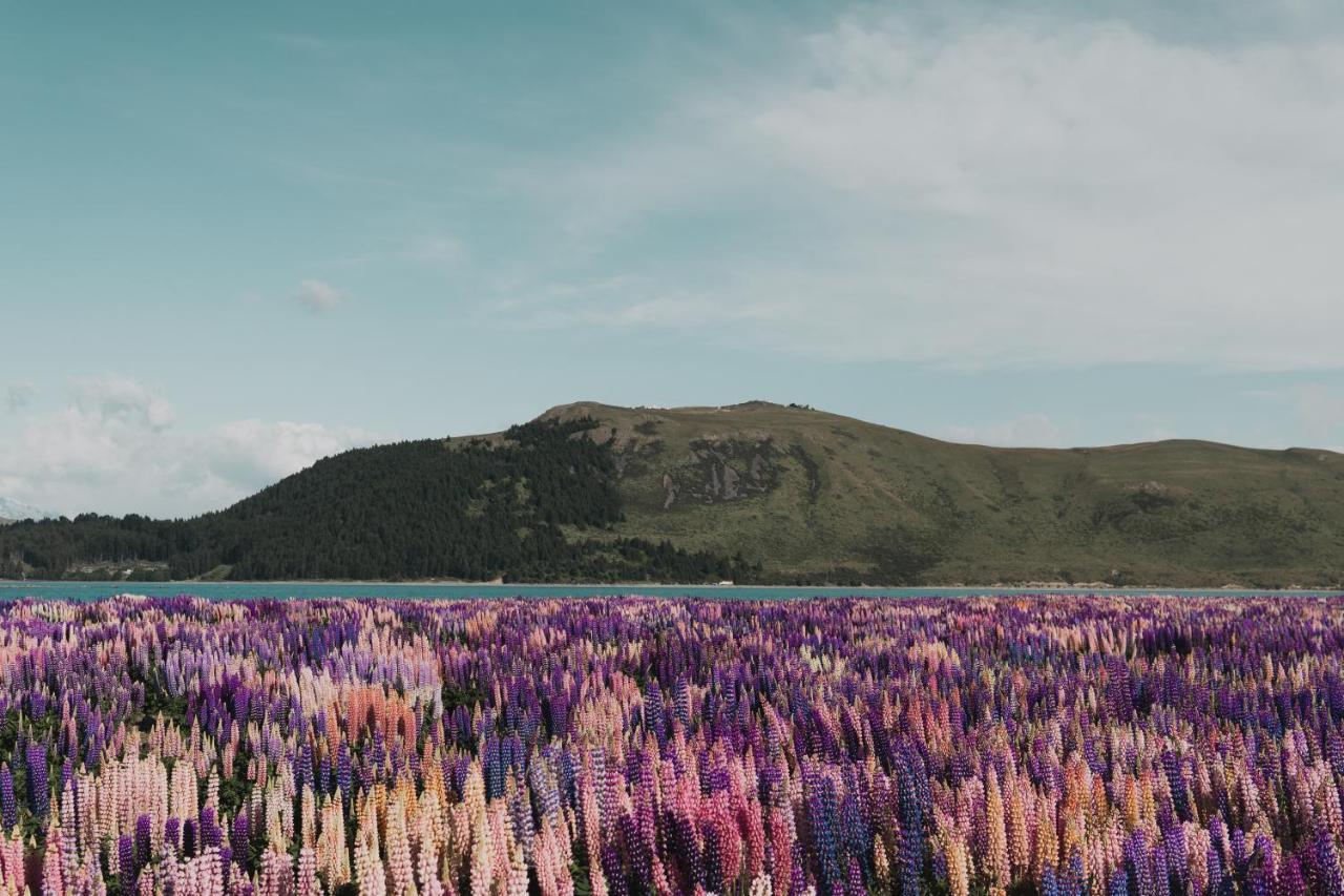 Mt John Homestead Лейк Текапо Екстериор снимка